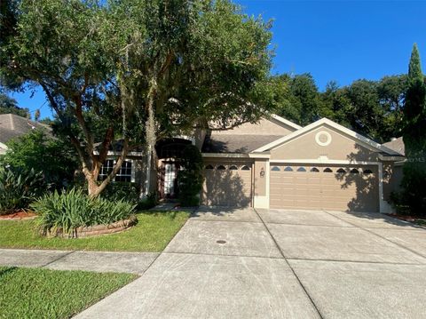 Photo of 10542 San Travaso Drive, Tampa, FL 33647 (MLS # TB8525784)