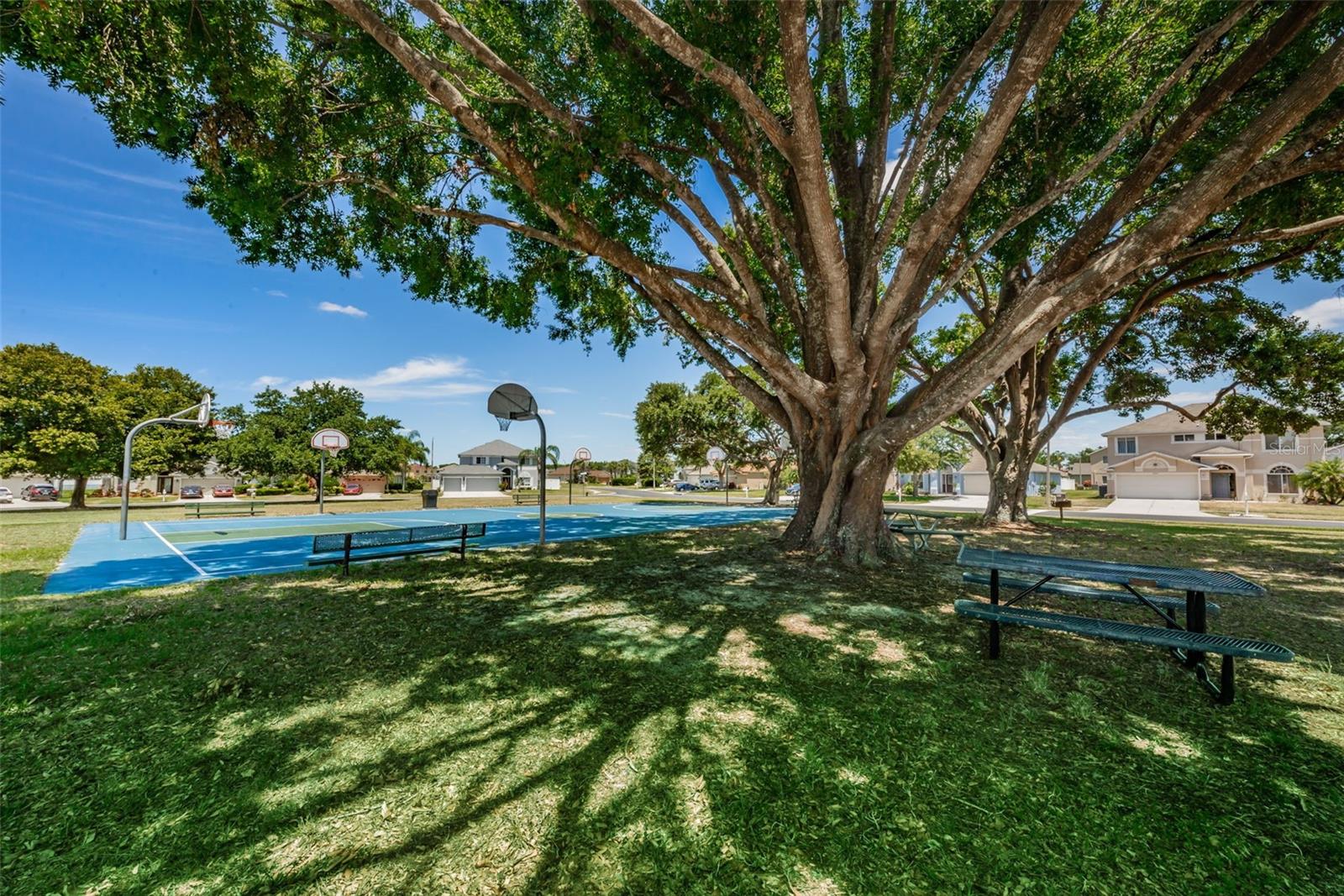 GRAND OAKS PH 03 - Residential