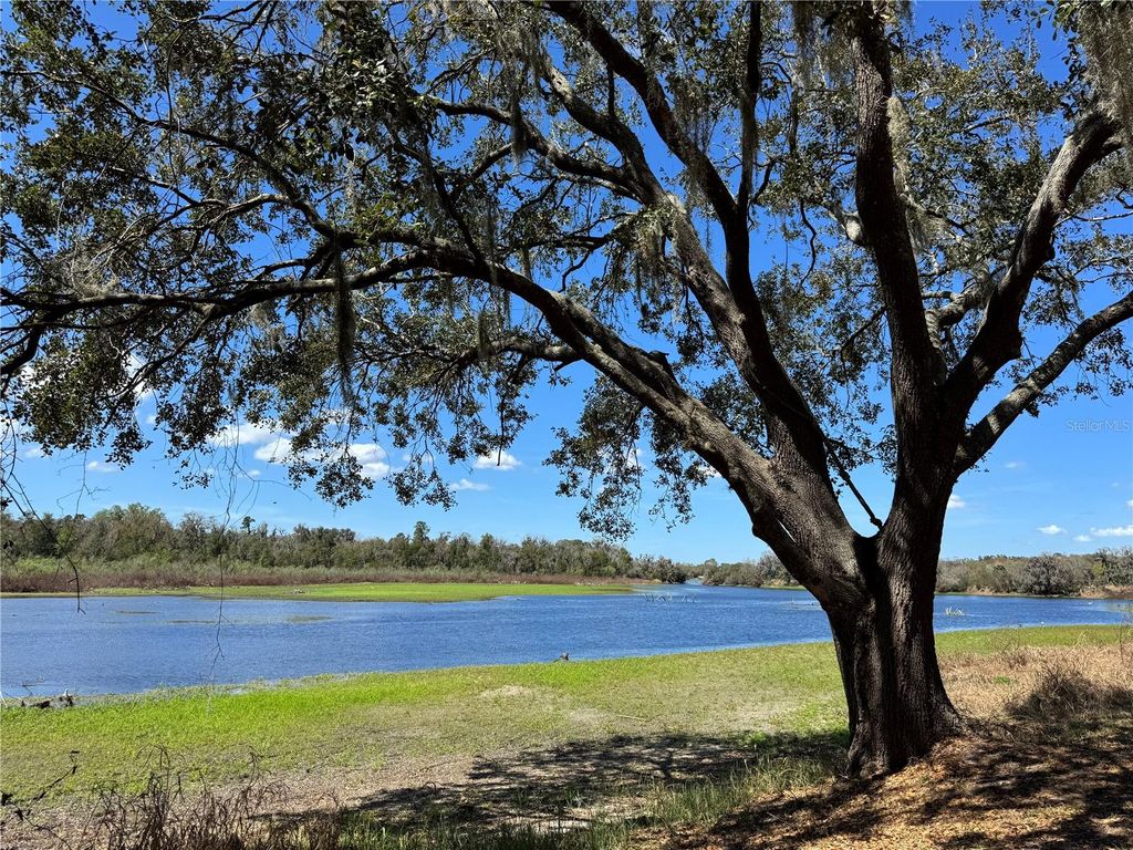 Photo of 11325 Hidden Valley Lane, Riverview, FL 33569 (MLS # TB8463102)