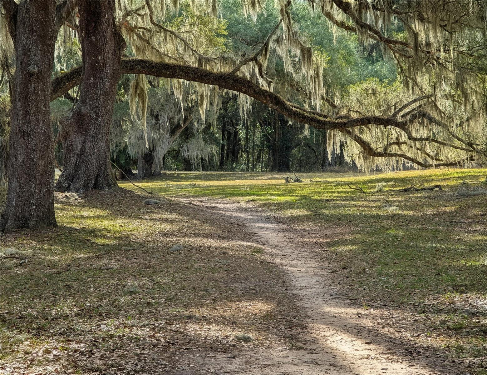 ROLLING RANCH ESTATE - Land
