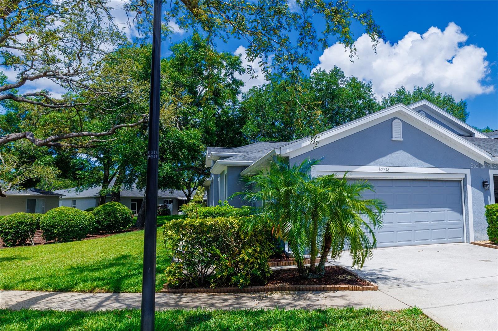 10716 ASHFORD OAKS DRIVE