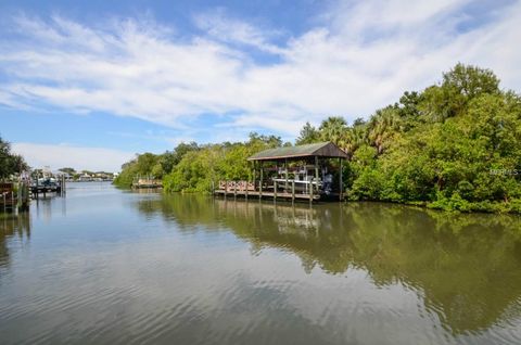 A home in TAMPA