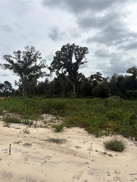 Tiny photo for 7200 E Highway 25, Belleview, FL 34420 (MLS # OM726791)