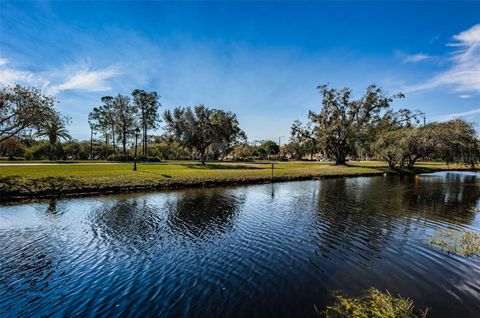 A home in PALM HARBOR