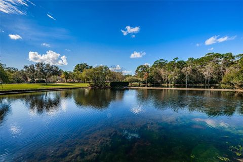 A home in PALM HARBOR