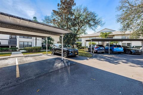 A home in PALM HARBOR