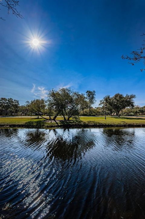 A home in PALM HARBOR