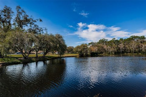 A home in PALM HARBOR