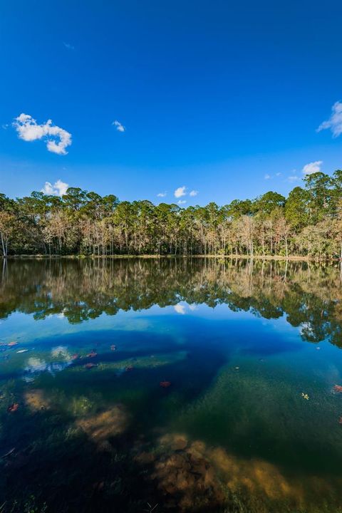 A home in PALM HARBOR