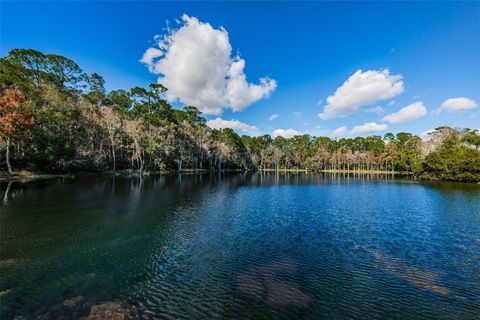 A home in PALM HARBOR