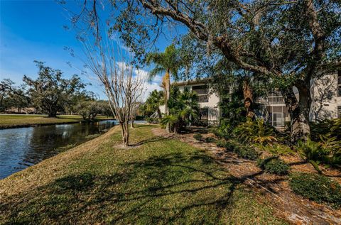 A home in PALM HARBOR