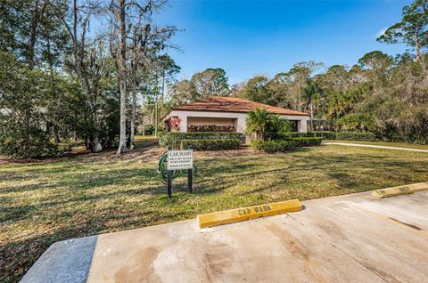 A home in PALM HARBOR