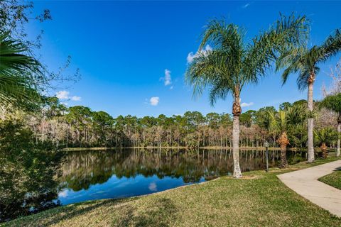 A home in PALM HARBOR