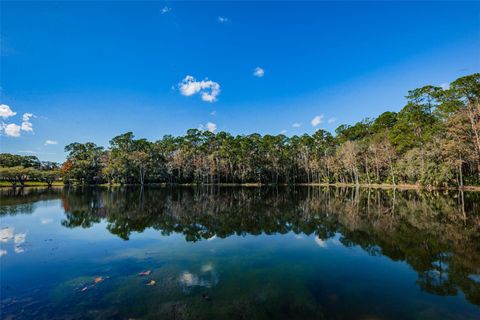 A home in PALM HARBOR