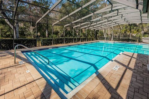 A home in PALM HARBOR