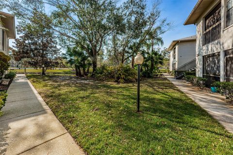 A home in PALM HARBOR