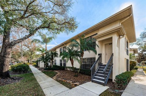 A home in PALM HARBOR