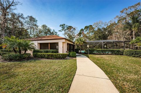 A home in PALM HARBOR