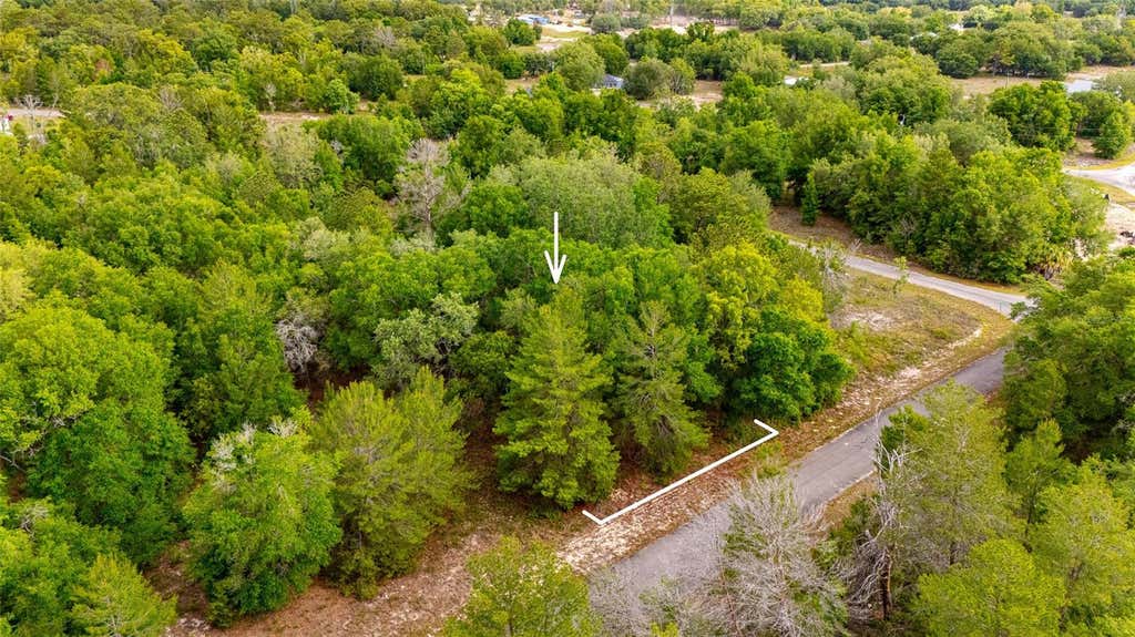 Photo of 15 Magnolia Drive, Ocklawaha, FL 32179 (MLS # TB8536399)