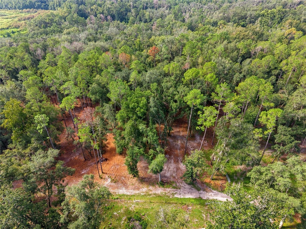 Photo of 1050 Katie Wood Trail, Brooksville, FL 34602 (MLS # L4964946)