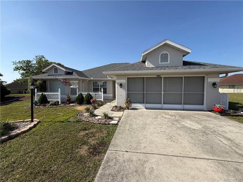 Photo of 838 W Bogart Court, Beverly Hills, FL 34465 (MLS # TB8500084)