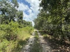 Owner financing available. Build your dream home on this 0.34-acre lot in Florahome, Florida, zoned R1A, allowing for a single-family residence with plenty of space for outdoor living. Enjoy the charm of small-town Florida while being conveniently located near local amenities and just a short drive to larger towns. This lot offers flexibility for your ideal home, whether it’s a full-time residence, weekend getaway, or investment property.