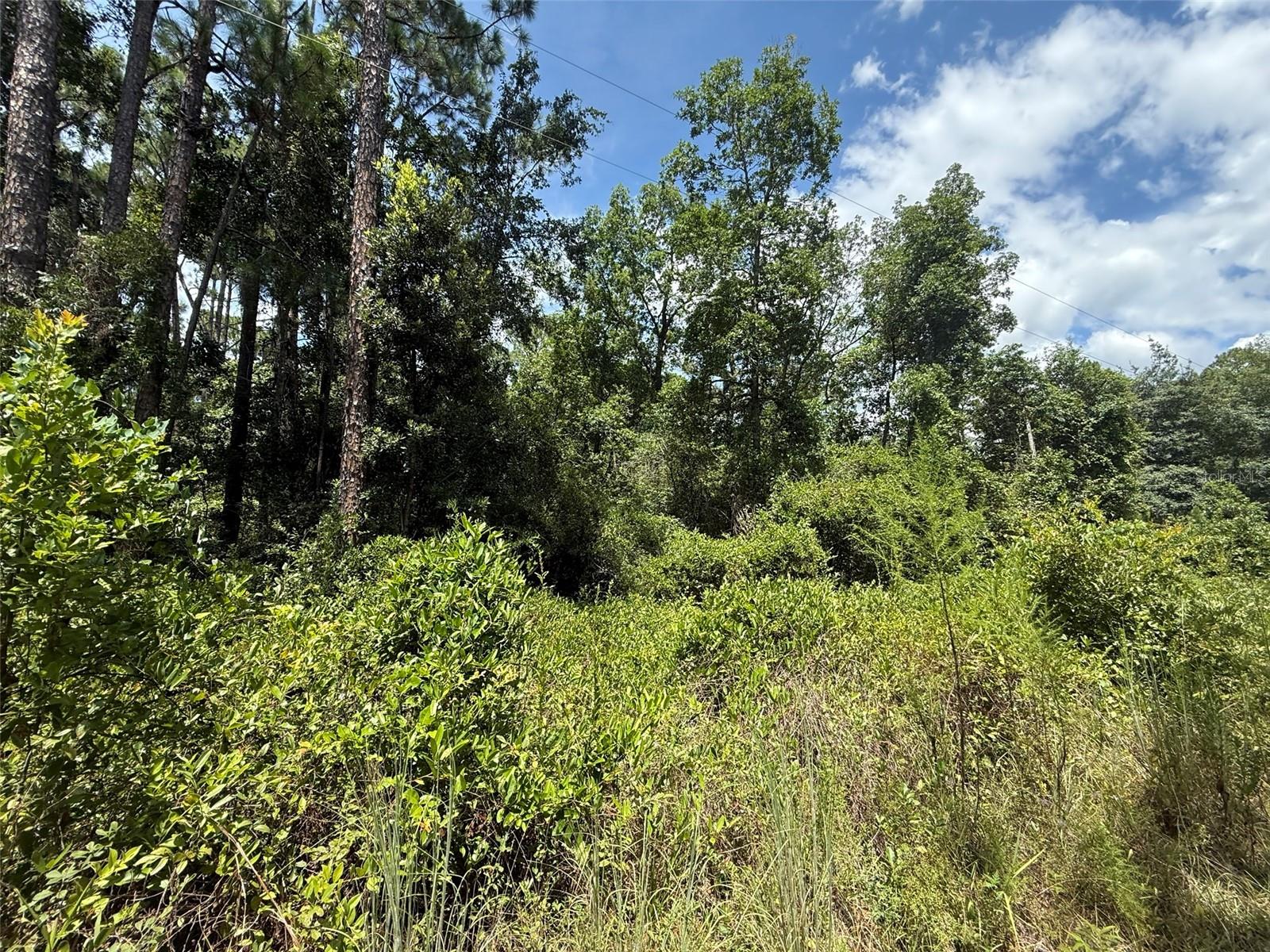 LAKESIDE HILLS - Land