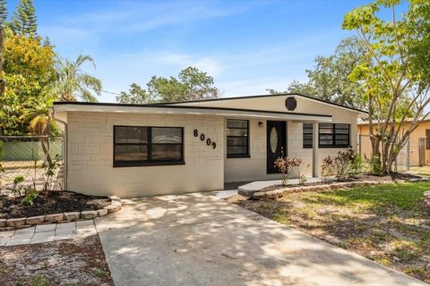 8009 SOMERSET LANE TAMPA FL 33615