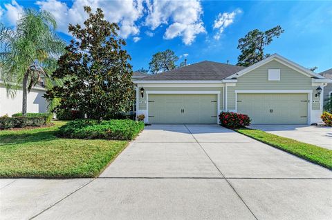 Photo of 4045 Wildgrass Place, Parrish, FL 34219 (MLS # A4667926)