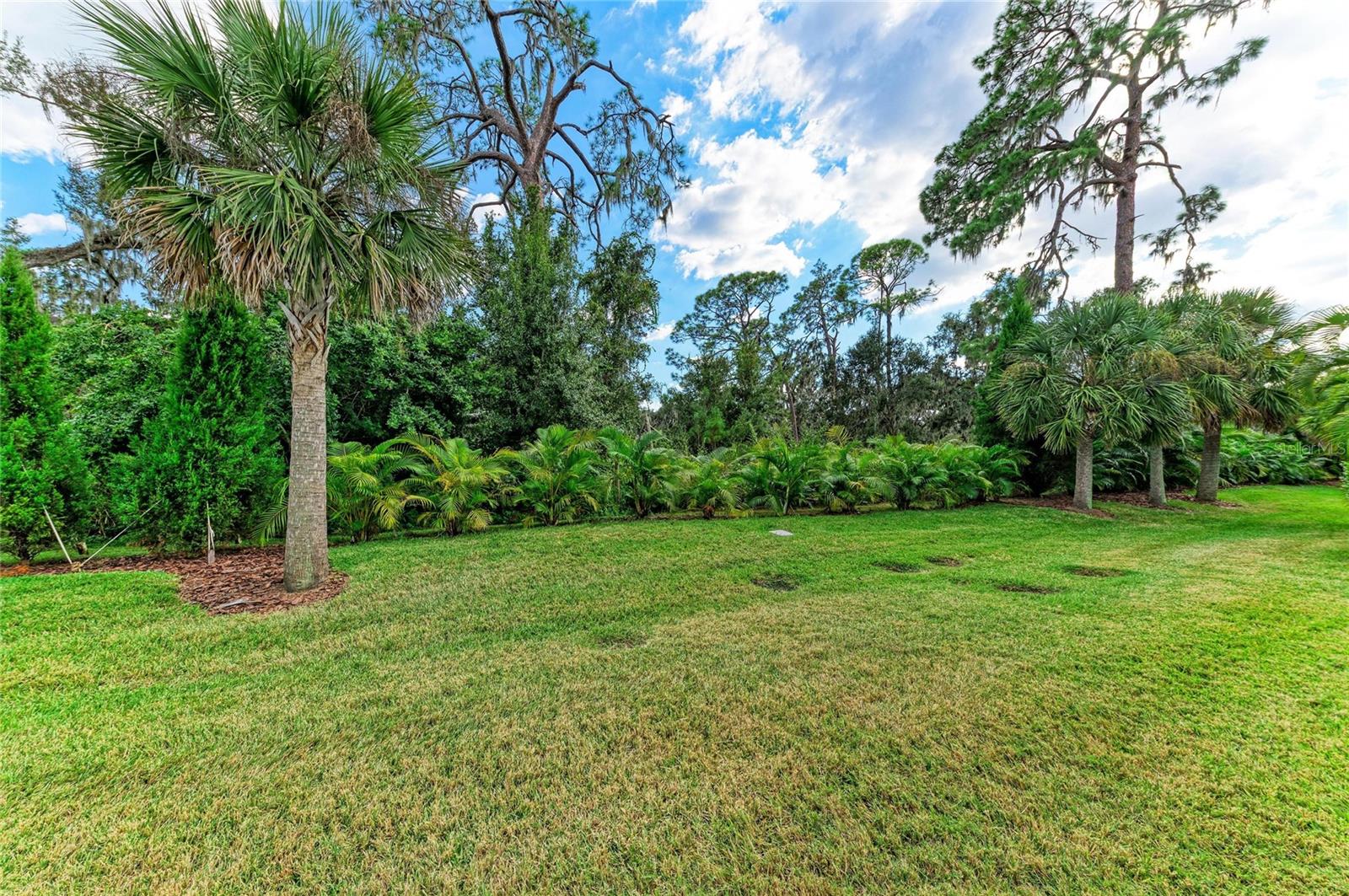 SILVERLEAF - Residential