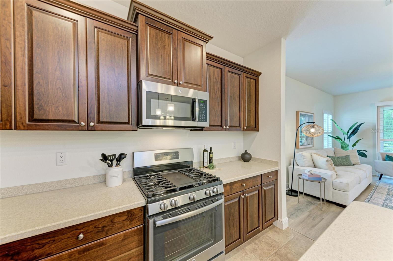 SILVERLEAF - Residential