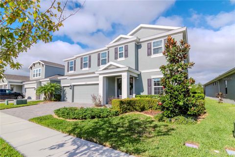 A home in LAND O LAKES