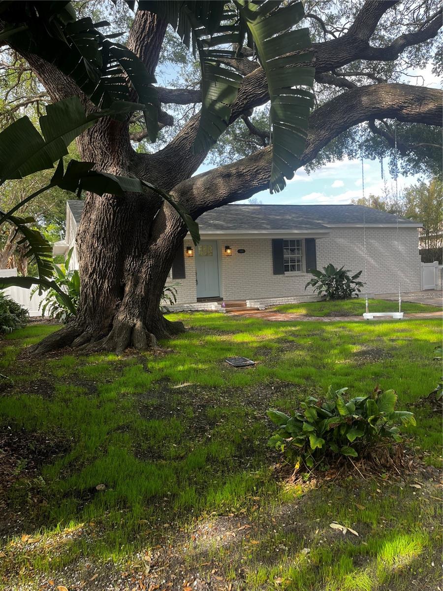 No flood insurance required for the fully remodeled 1802 sf home with a new detached storage shed. This house has been taken down to the studs throughout and reconfigured for today's active lifestyle. All permits pulled and inspections given by the City of Tampa on this addition and renovation. The roof, electrical wiring, sewer and water, cat 5 and cable, appliances, plumbing fixtures, drywall and all interior and exterior paint was completed at the beginning of 2023. This large lot is ready for a pool to be built in the backyard.