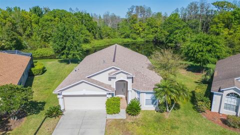 1932 GRENVILLE COURT WESLEY CHAPEL FL 33543