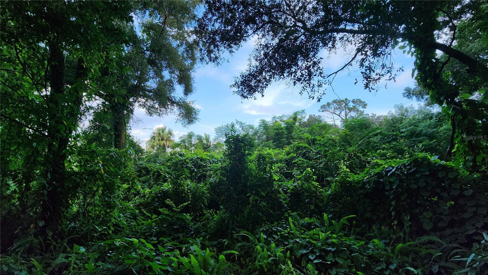 ORLANDO TERRACE SEC 01 - Land