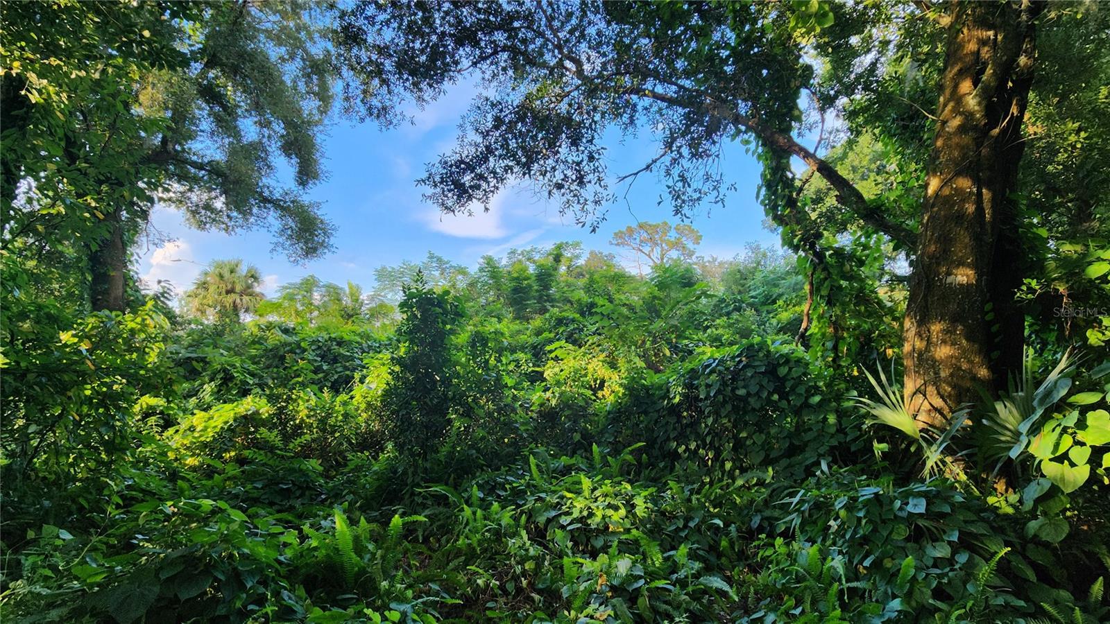 ORLANDO TERRACE SEC 01 - Land