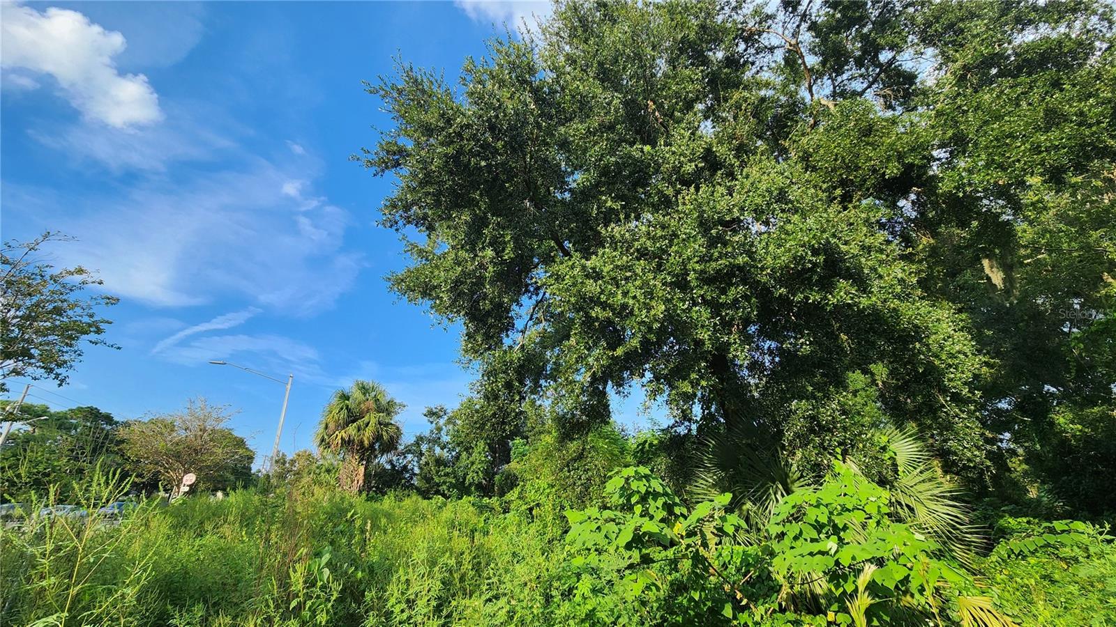 ORLANDO TERRACE SEC 01 - Land