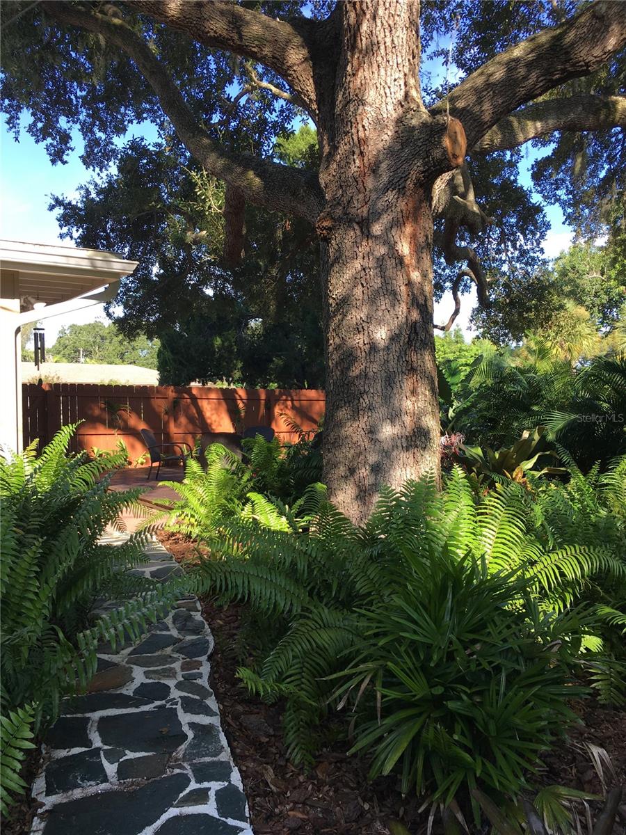 LOMA LINDA PARK RESUB - Residential