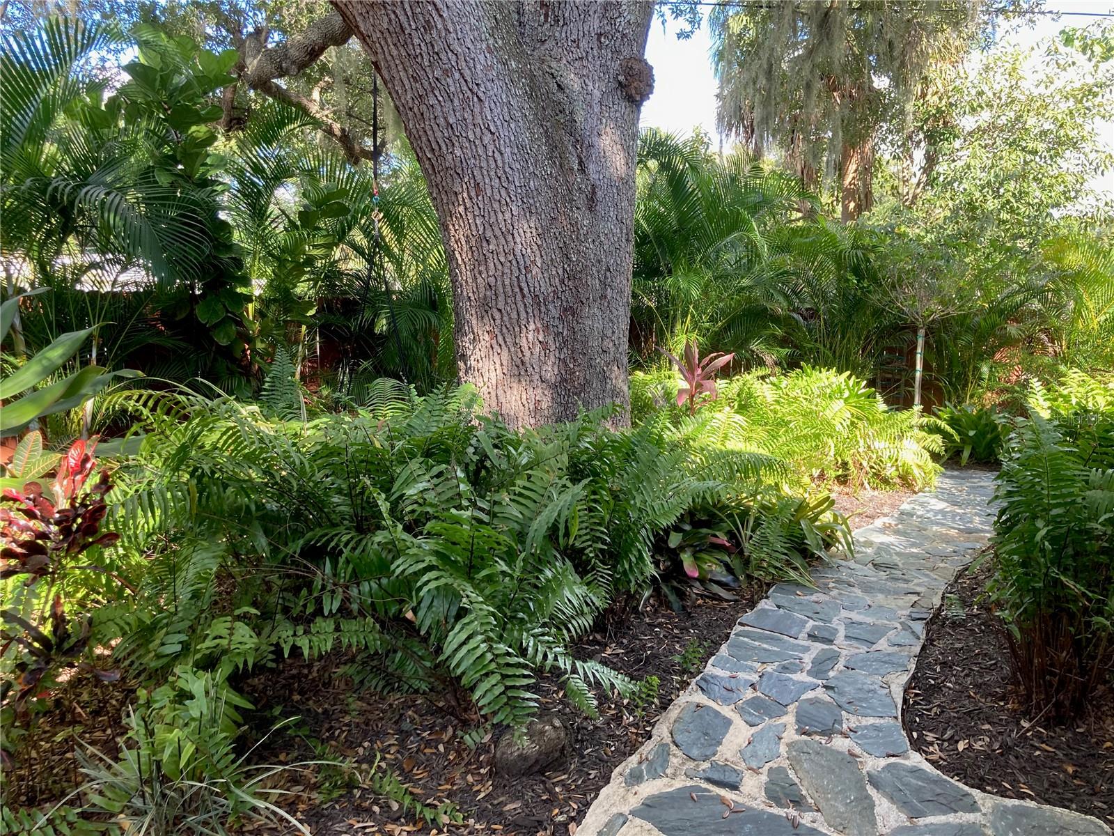 LOMA LINDA PARK RESUB - Residential