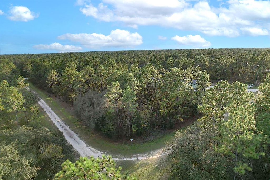 Photo of 00 Tbd SW 88th Street, Dunnellon, FL 34432 (MLS # OM710519)