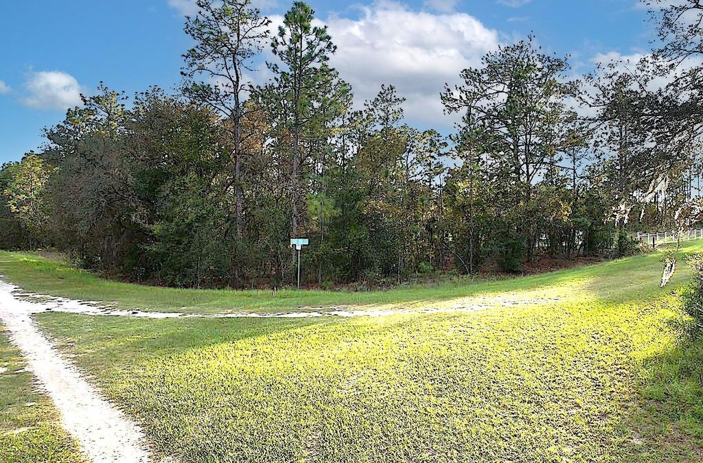 Photo of 00 Tbd SW 88th Street, Dunnellon, FL 34432 (MLS # OM710519)