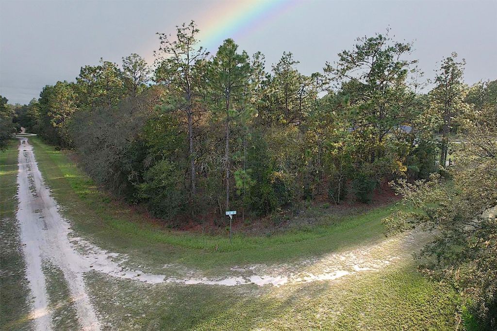 Photo of 00 Tbd SW 88th Street, Dunnellon, FL 34432 (MLS # OM710519)