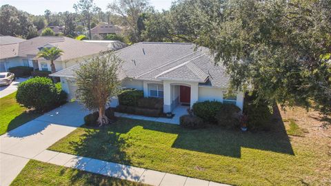 A home in PALM COAST