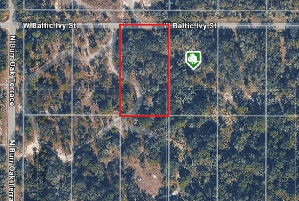 Photo of 12538 W Baltic Ivy Street, Crystal River, FL 34428 (MLS # OM714810)