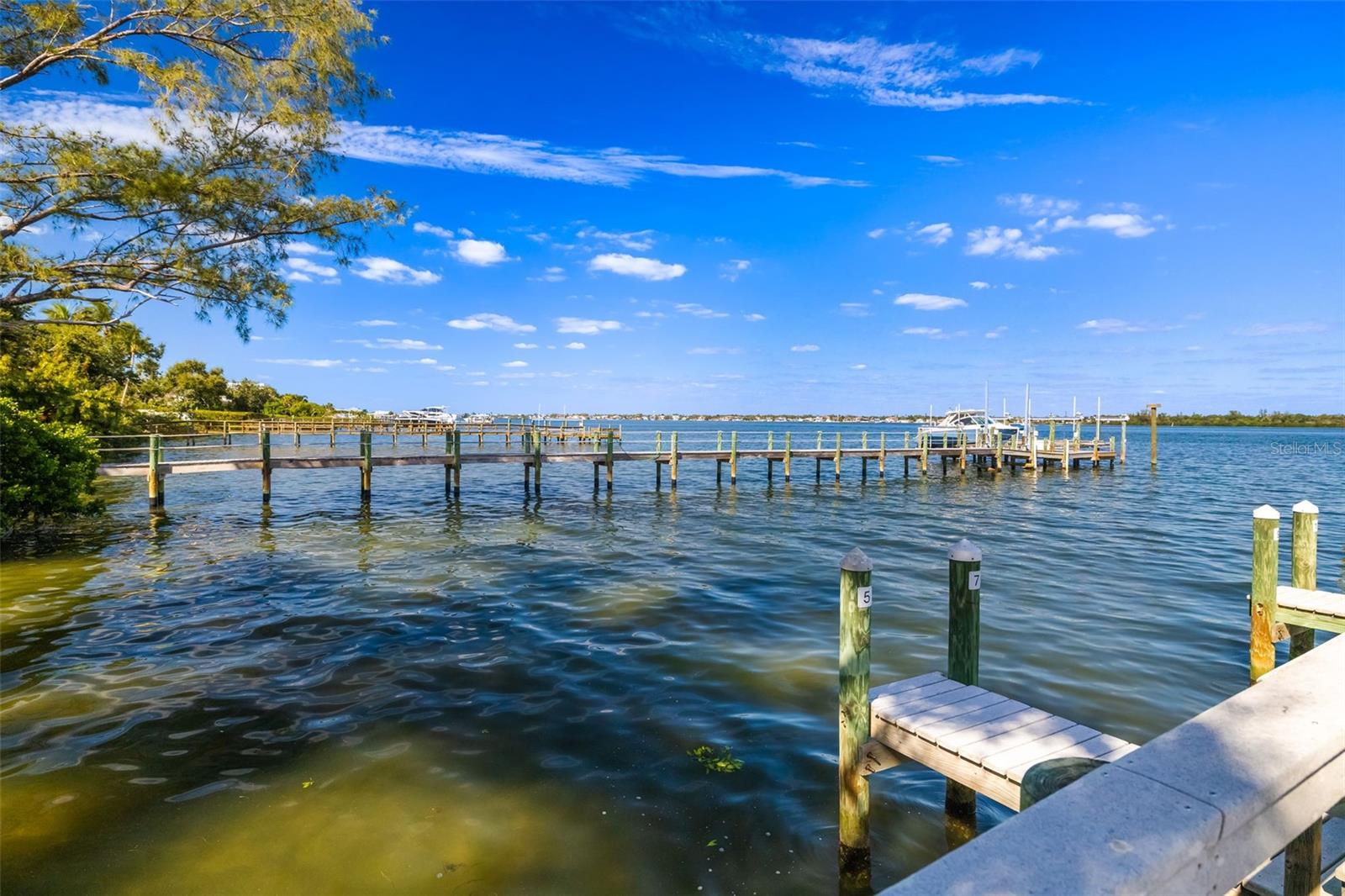 BAY TREE CLUB - Residential