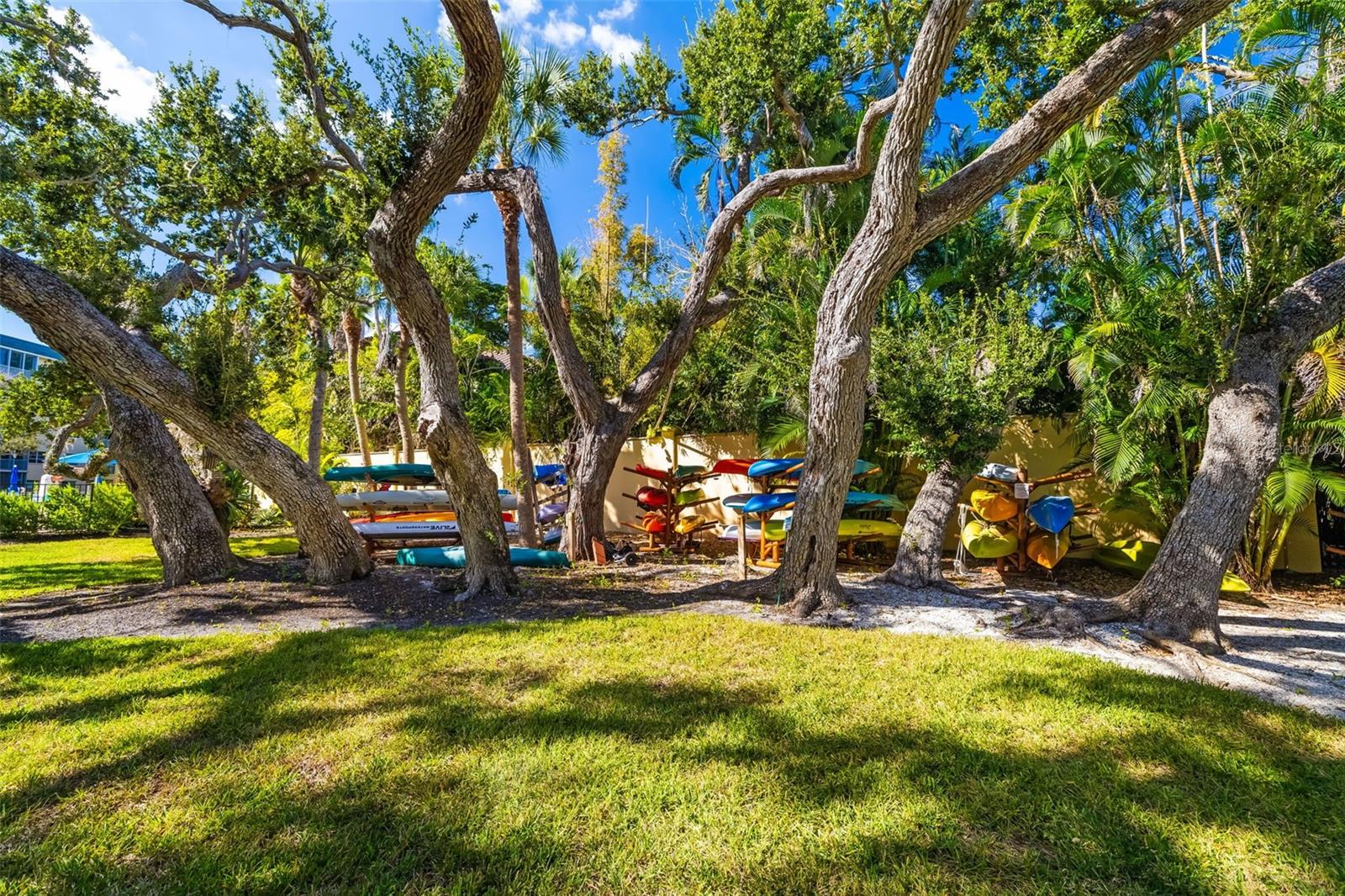 BAY TREE CLUB - Residential