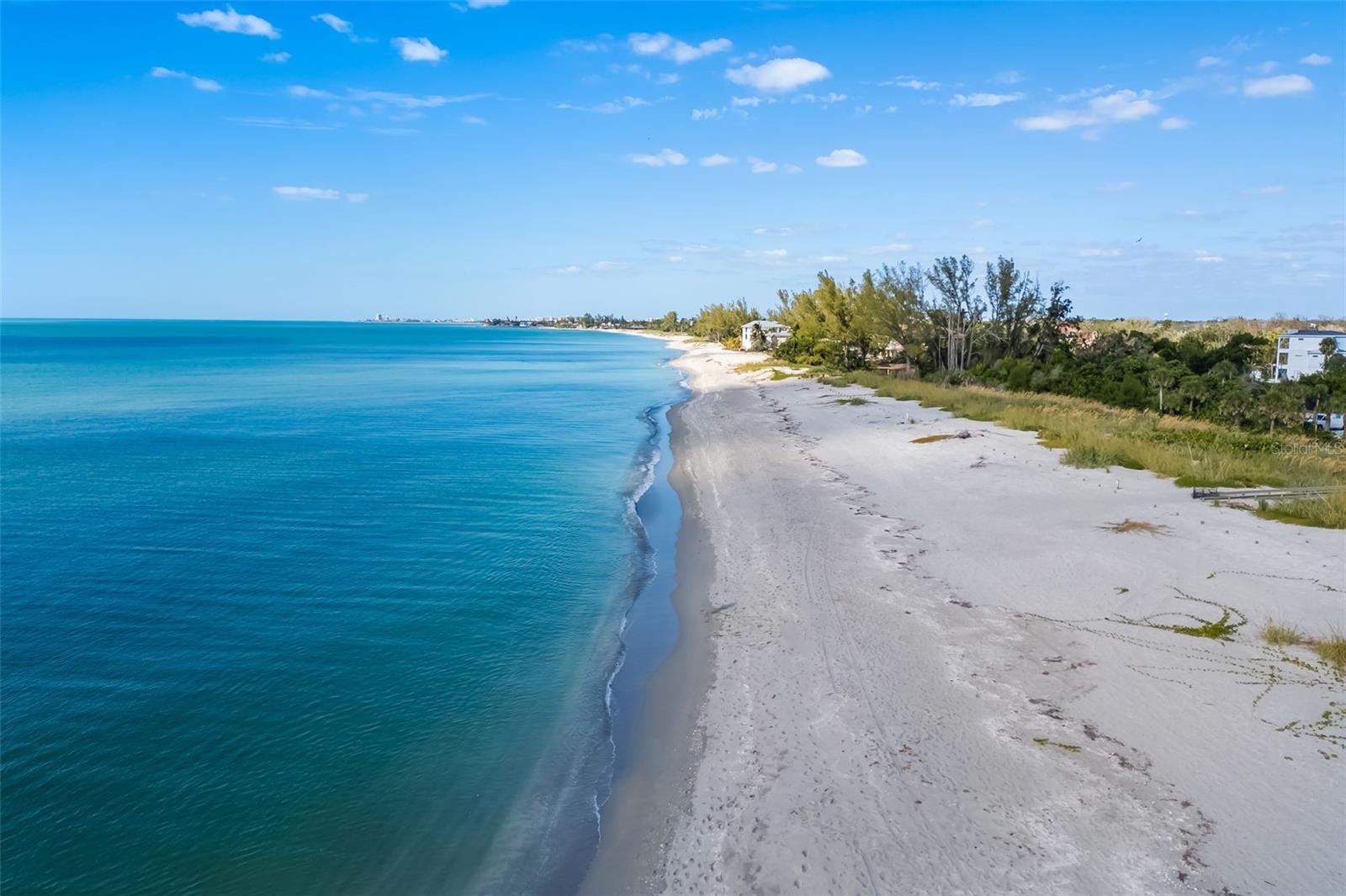 BAY TREE CLUB - Residential