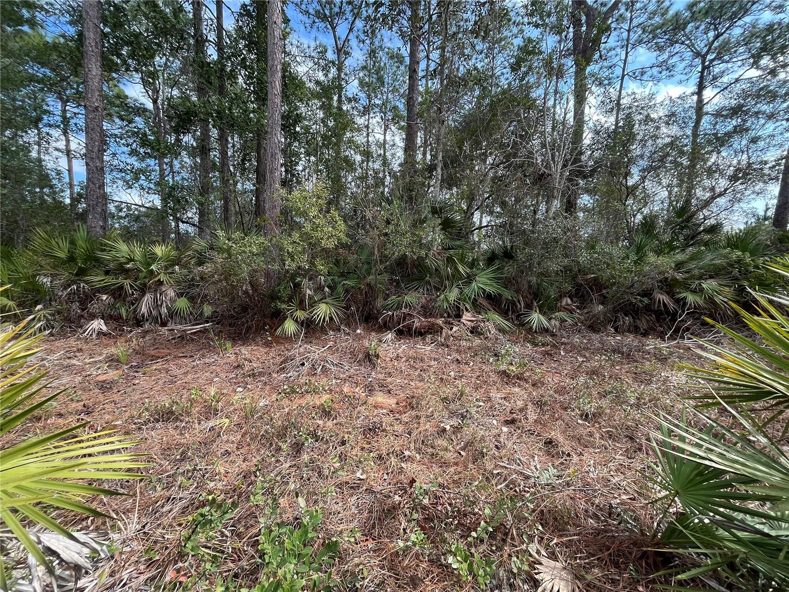 INTERLACHEN LAKES ESTATES - Land