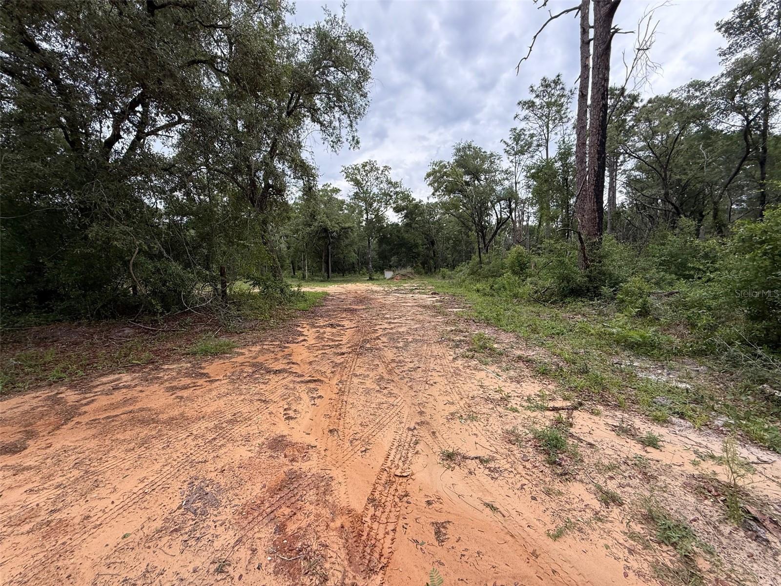 FLORIDA HLNDS 443 - Land