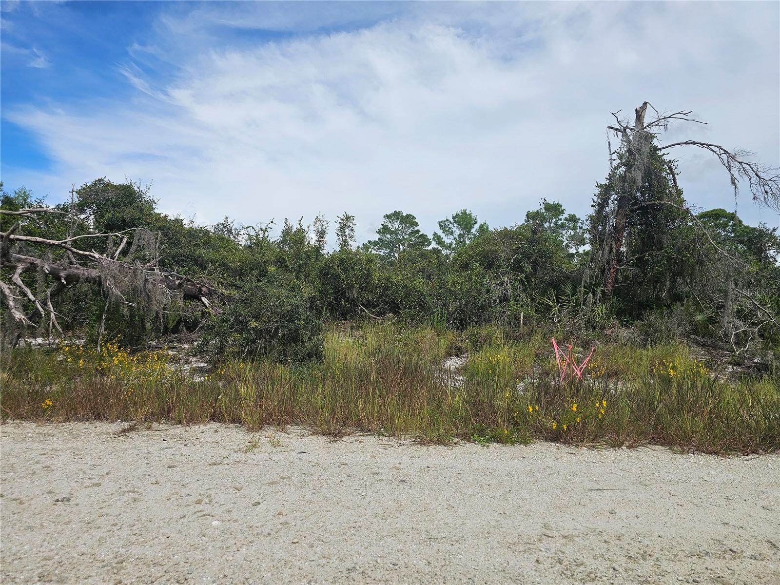 Wooded lot for sale located in Highland Park Estates in the small town of Lake placid, Florida. Lake Placid is known as the caladium capital of the world on the town of murals. Septic will be needed for the lot, check with the county for specific use. Come and check out the town, see it's charm, and stay!